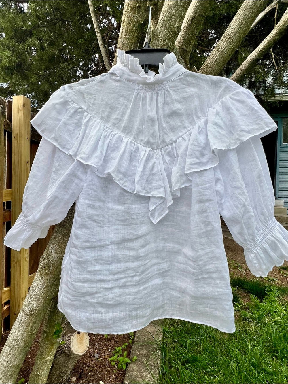 NWOT Frame ruffle blouse SHEER high neck S India puff sleeve romantic feminine